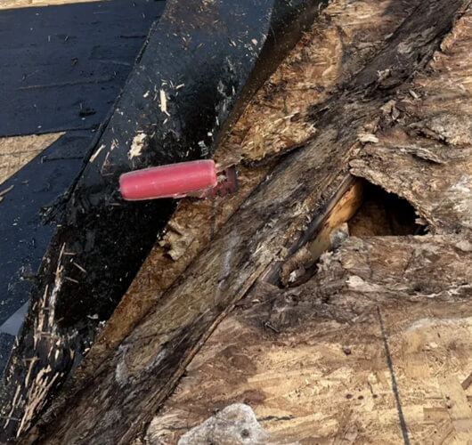 Insurance & Restoration