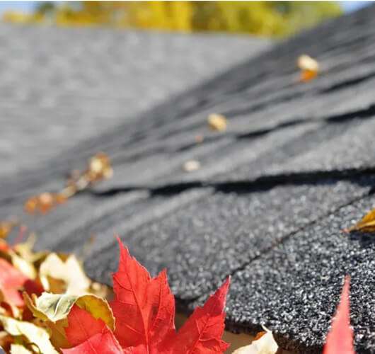Roof Maintenance